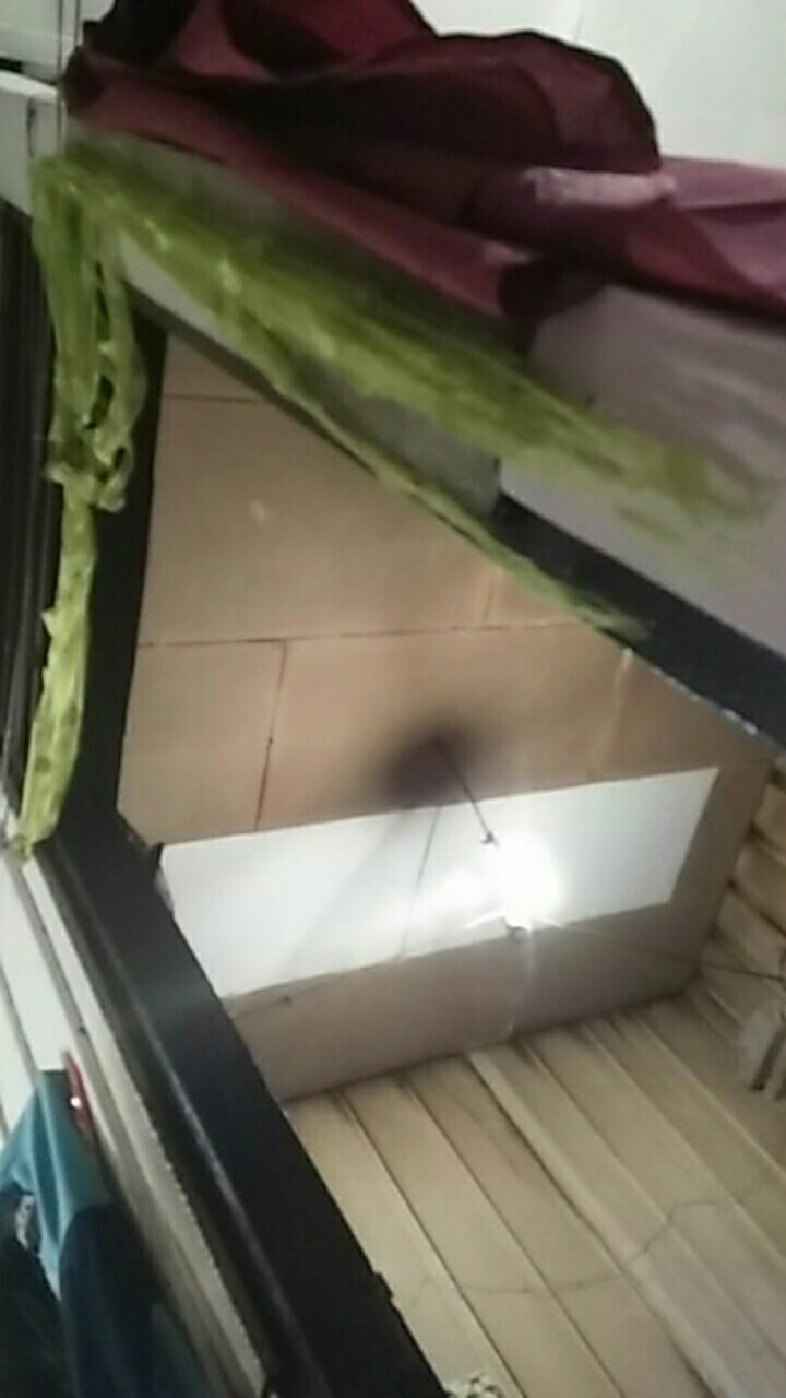 Obat Tikus Ampuh Mao Wang Original / Racun Tikus Ampuh Mao Wang Original