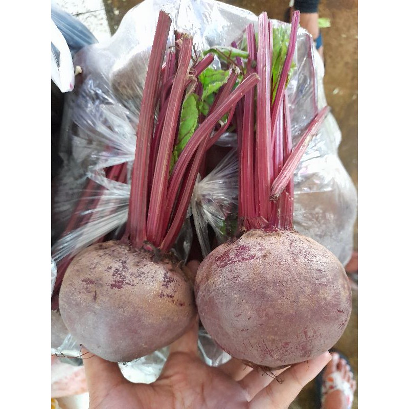 

buah bit atau beetroot 500 gram