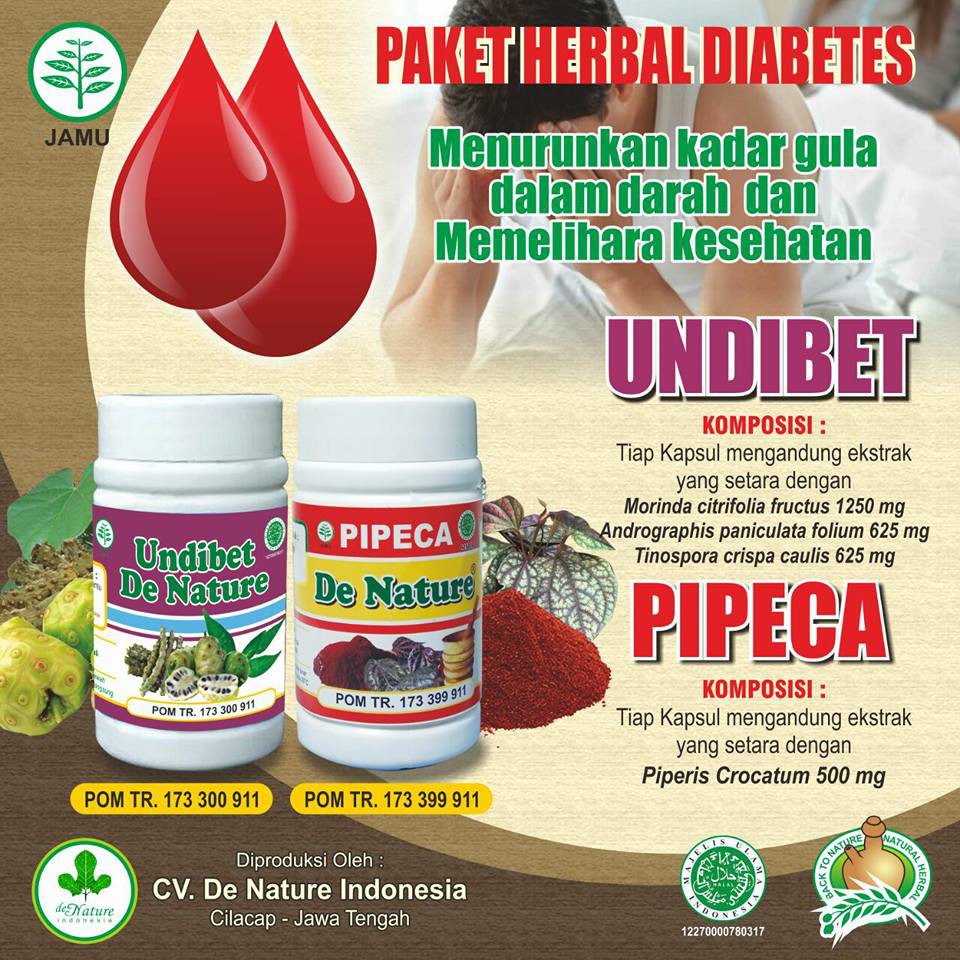 Jual Obat Diabetes Basah Kering Kencing Manis Dengan Herbal De Nature