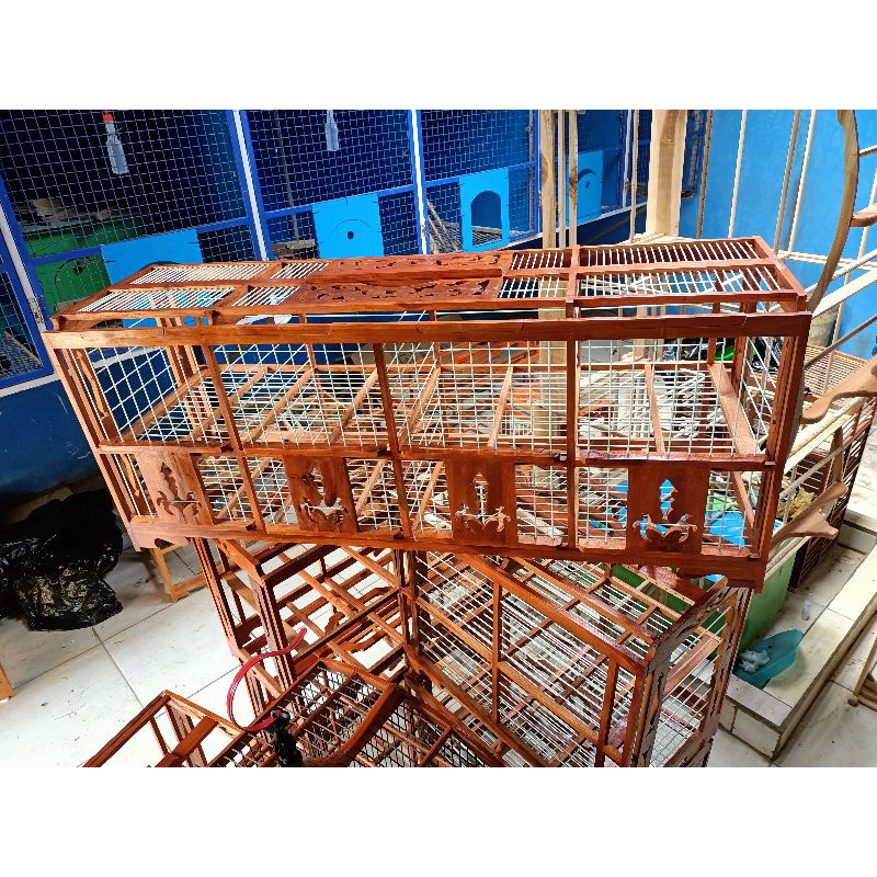 dondang 8pintu kayu jati