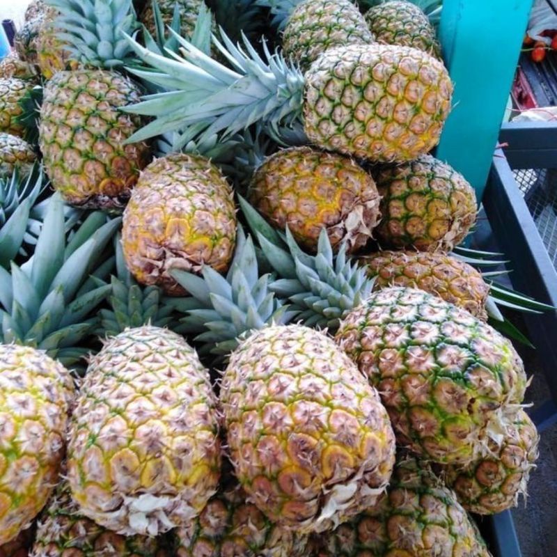 

Nanas palembang
