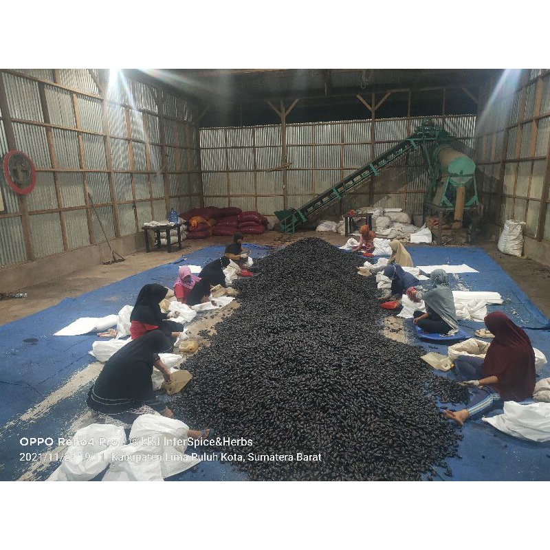 

BINGLANG Hitam Pinang Salai (permen)