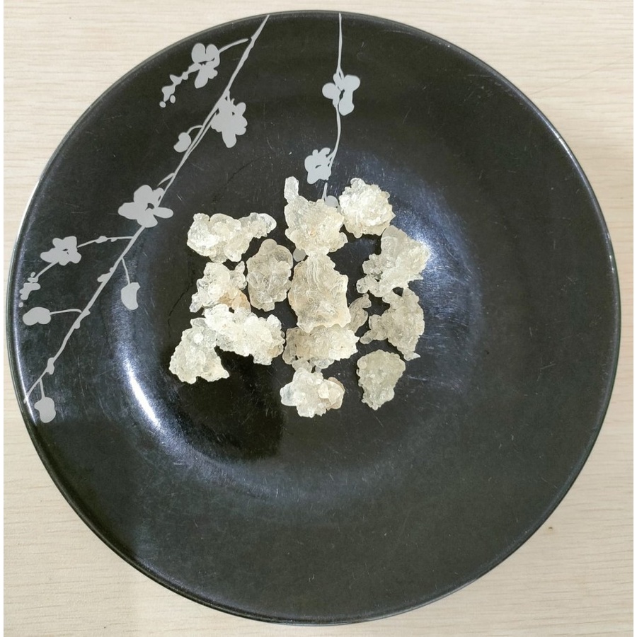 

now Bird Nest Premium 10 gr, Walet salju, Xue Yen, Tragacanth Gum