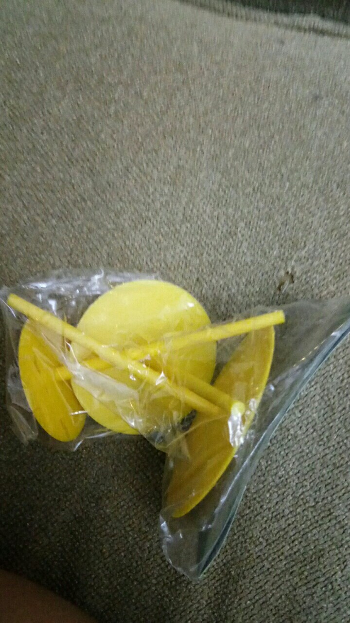 3 Pcs Paku Mawar 4.5-6-7cm