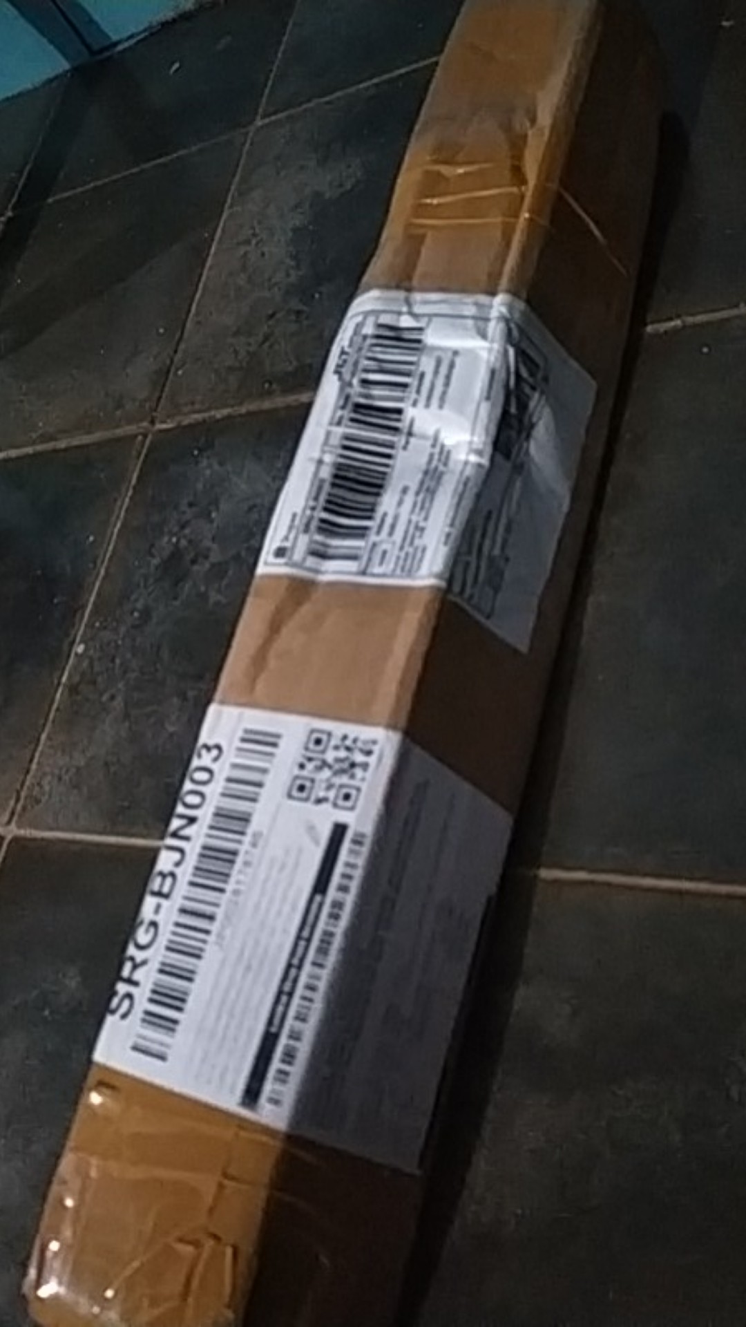 Bibit Alpukat Kendil Super Unggul