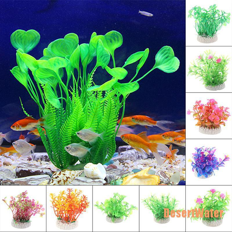 Dsw Tanaman Hias Aneka Warna Untuk Dekorasi Akuarium Ikan Ds Shopee Indonesia