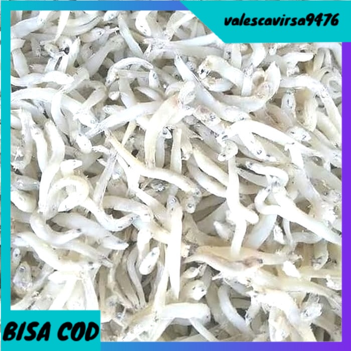 

⭐BISA COD⭐ khas Medan ikan teri toge super kasar (berat250gram)