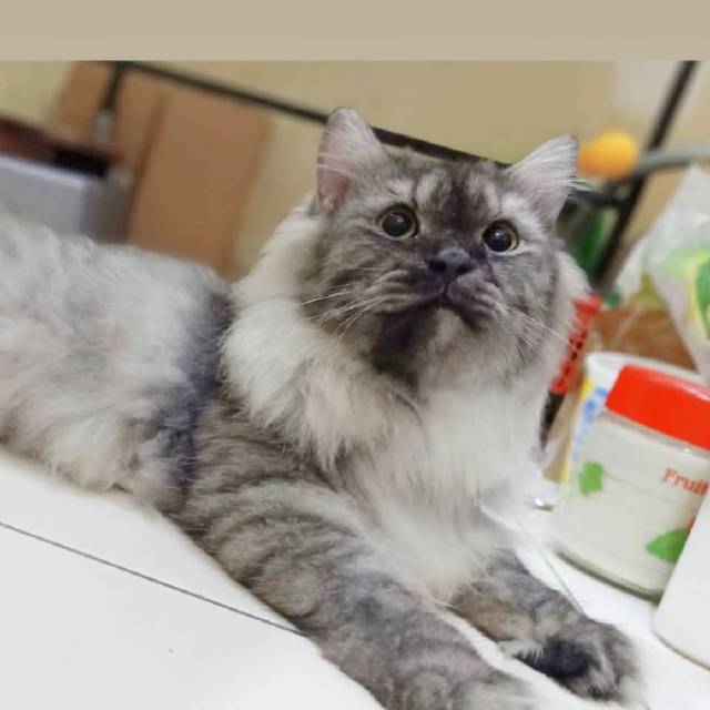 nawannawung