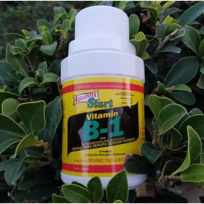 Vitamin B1 liquinox