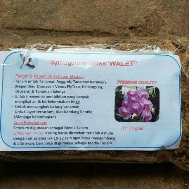 Media tanam anggrek moss sphagnum moss 50gram