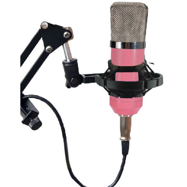 Taffware Mikrofon Kondenser Studio dengan Shock Proof Mount - BM-700