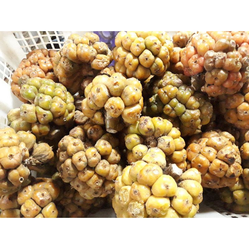 

Asam Cikala Patikala Segar 1kg