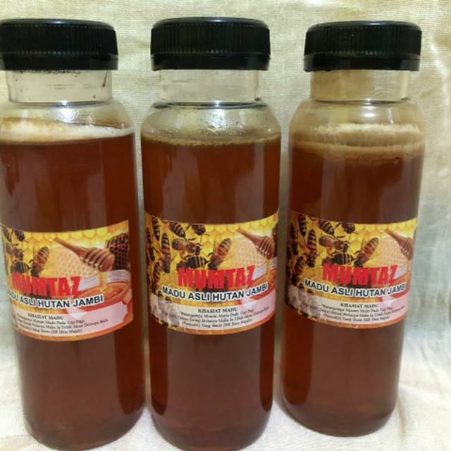 

Madu hutan asli jambi