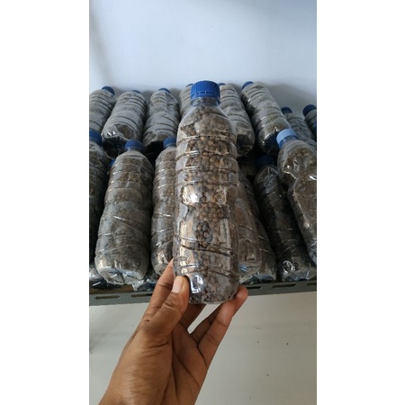 klenteng/biji pohon randu / Rangkaian ombyok