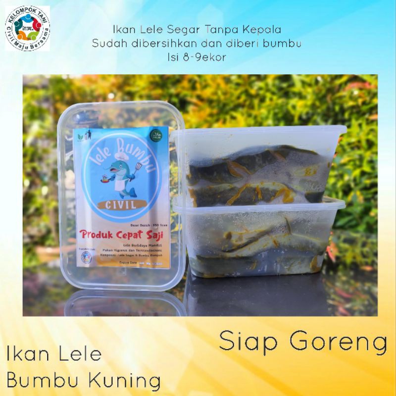 

Frozen Lele Bumbu Kuning Tanpa Kepala Siap Goreng Protein Tinggi