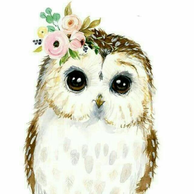 meeowl