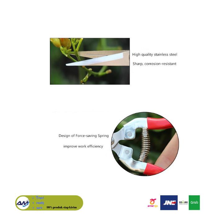 

gunting pruning buah daun ranting bunga taman lurus 9W Best Seller