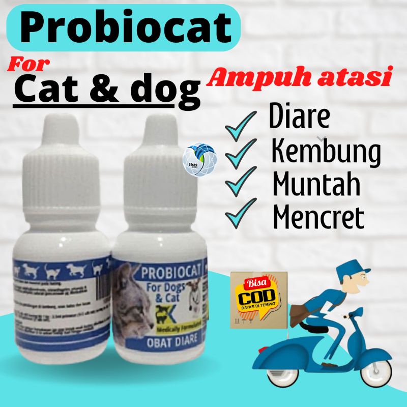 Obat Kucing Anjing Mencret Obat Diare kucing Anjing Obat gangguan pencernaan Ampuh