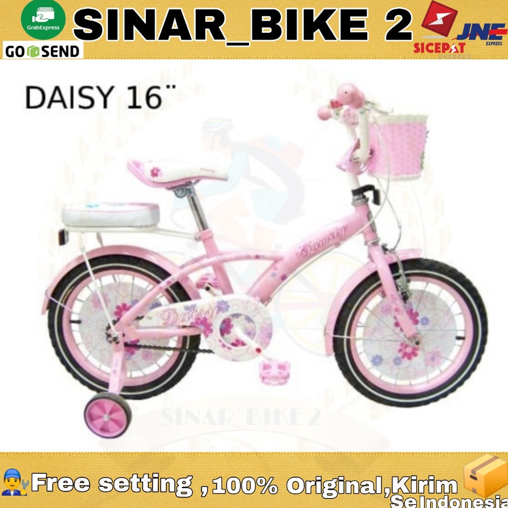 Sepeda Anak Family Daisy 16Inch CTB 4-7Th Rangka Steel Low Steep Frame CityBike (Ekspedisi)