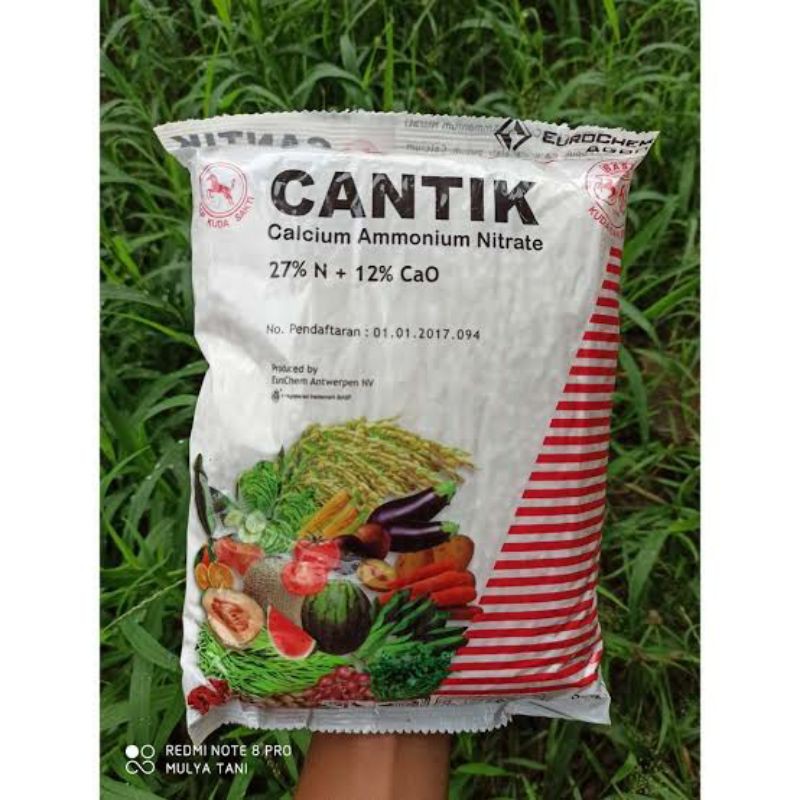 PUPUK KALSIUM NITRAT CANTIK 1kg/ PUPUK CANTIK 1KG