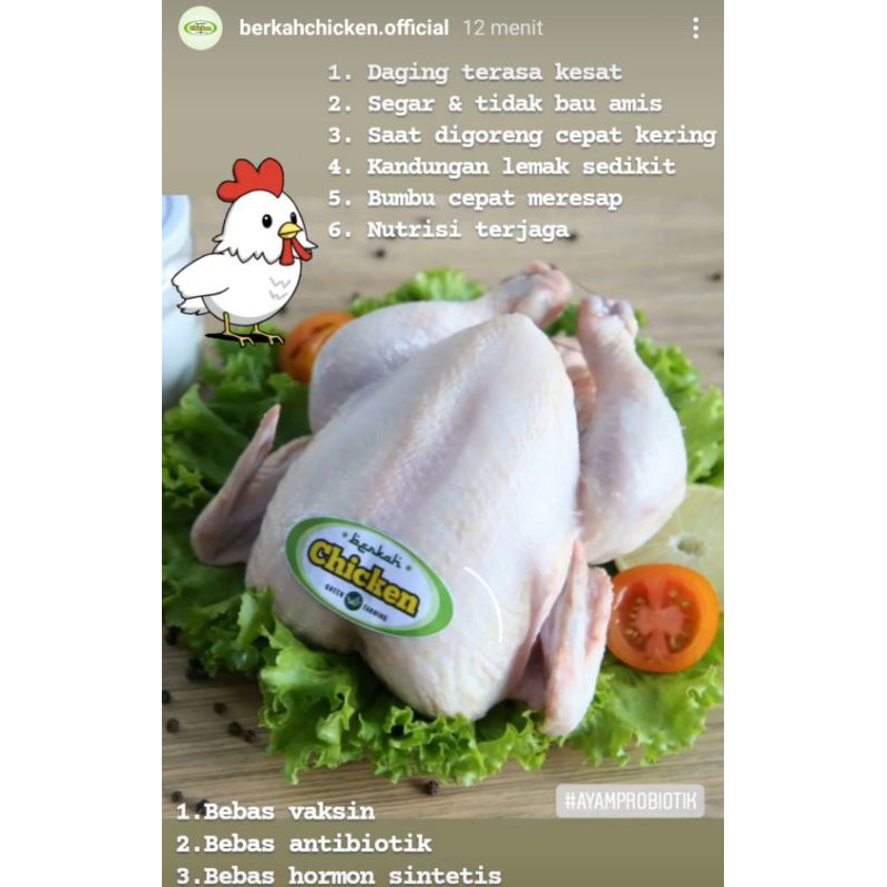 

Ayam Organik Utuh Berkah Chicken 1,0 - 1,1 Kg