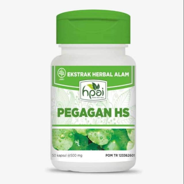 Pegagan Hs HNi