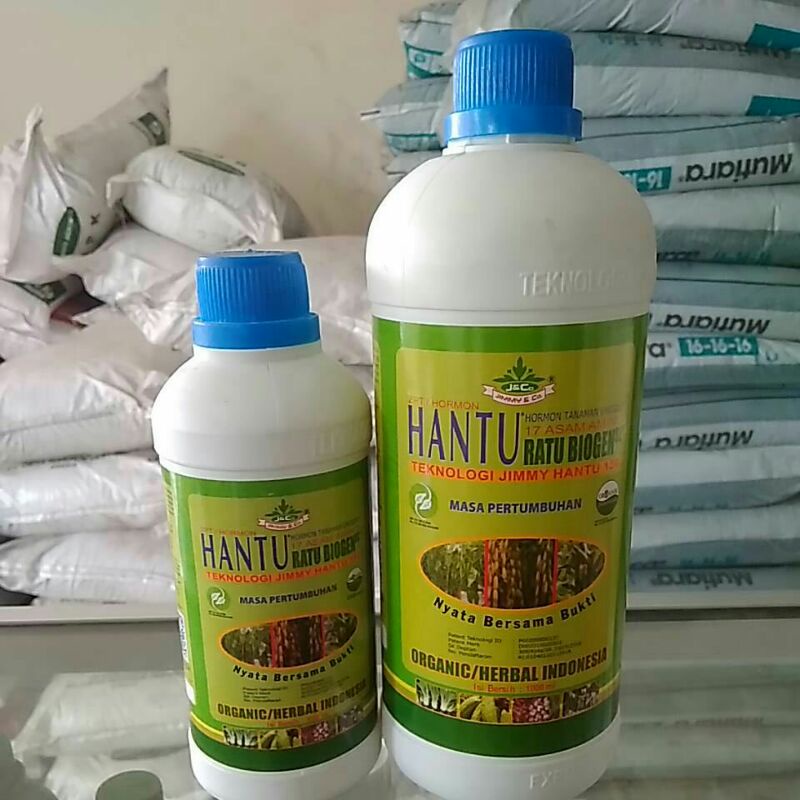 ZPT, Jimmy Hantu Ratu Biogen Masa Pertumbuhan