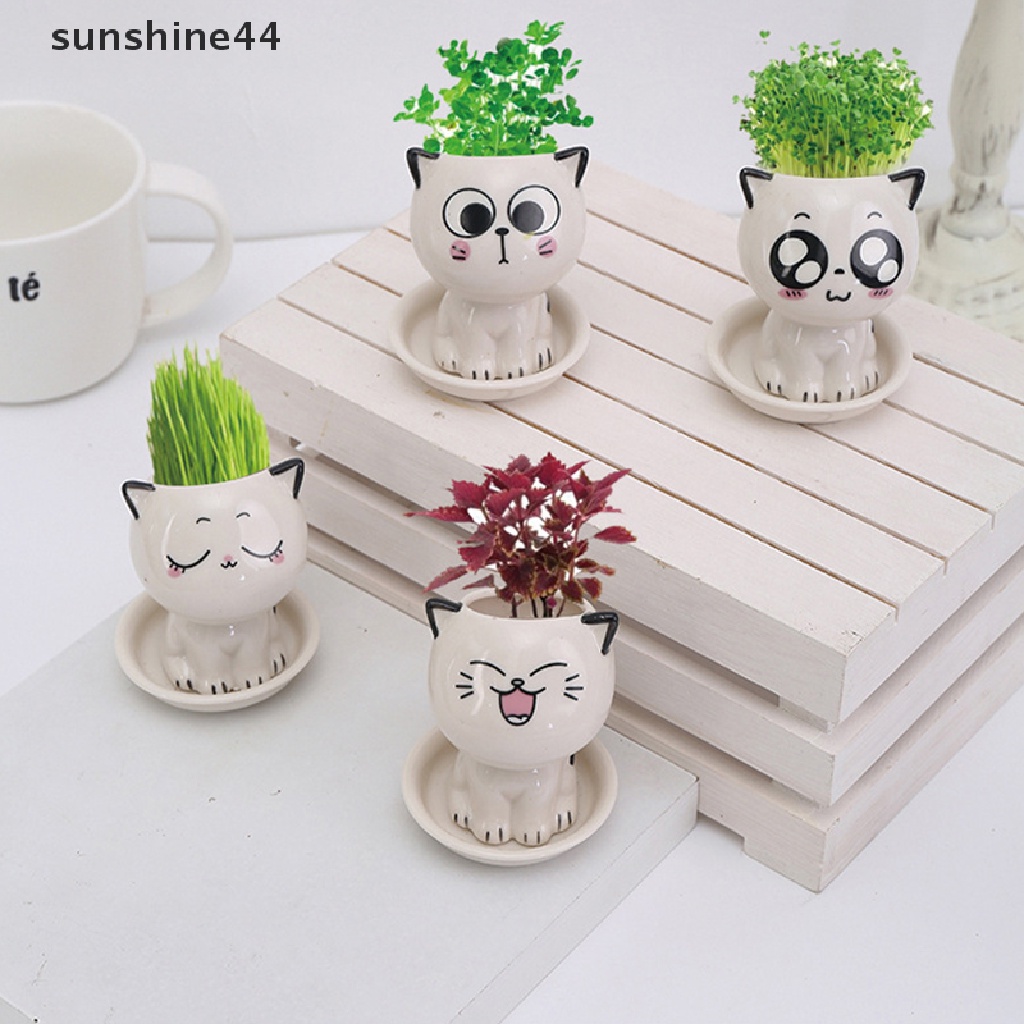 Sunshine Pot Bunga Mini Bentuk Kucing Bahan Keramik