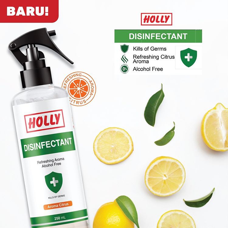 Holly Disinfektan Spray 250 ml