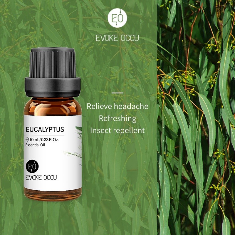 Evoke Occu - Eucalyptus 10ml Essential Oil Minyak Aroma Terapi Diffuser Humidifier Natural Relax Fresh Candle Soap Bath Aromatherapy