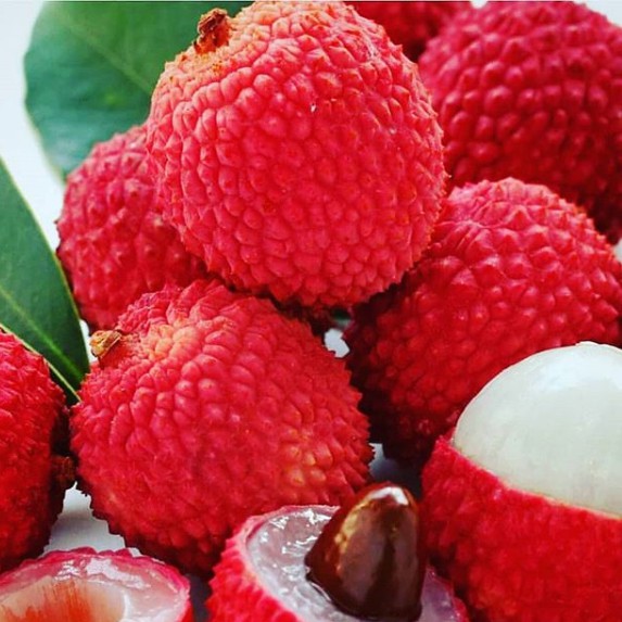 buah leci merah leci kom/tanaman leci merah