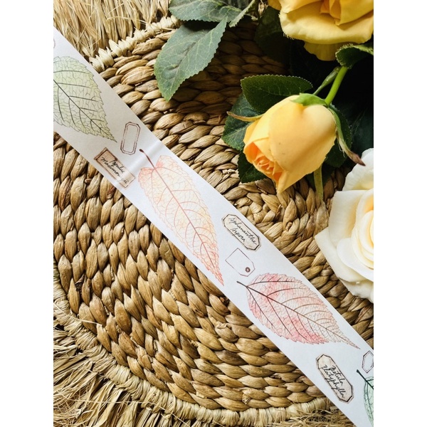 

miao stelle leaf veins