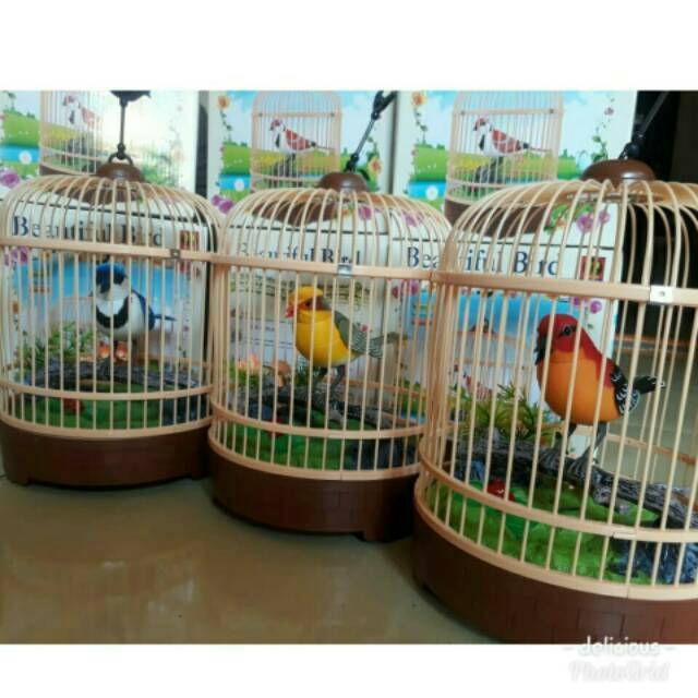 MAINAN BURUNG BERNYANYI DALAM SANGKAR BESAR