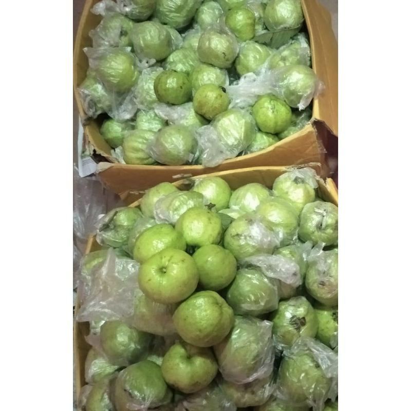 

Jambu kristal ASLI/harga per 1Kg