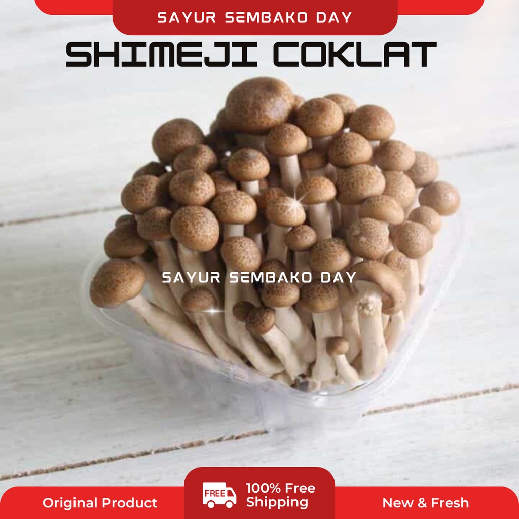 

Jamur Shimeji Cokelat Segar Mentah / Mushroom