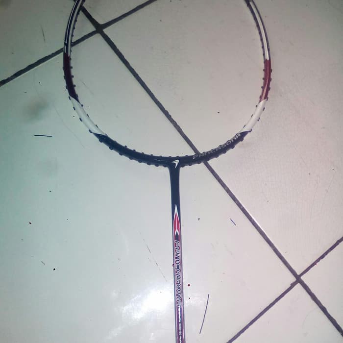 Raket flypower pancasona + bg 66