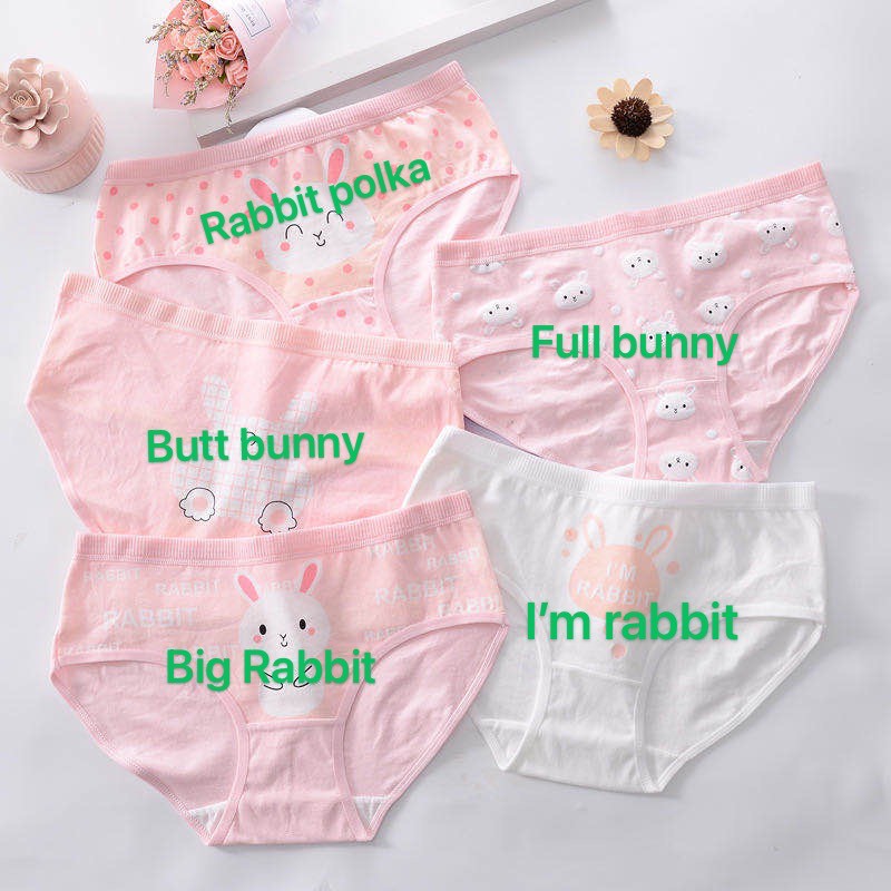 VS - Jepang CD imut fashion Undies Celana Dalam Wanita Polos high quality katun import CD C67