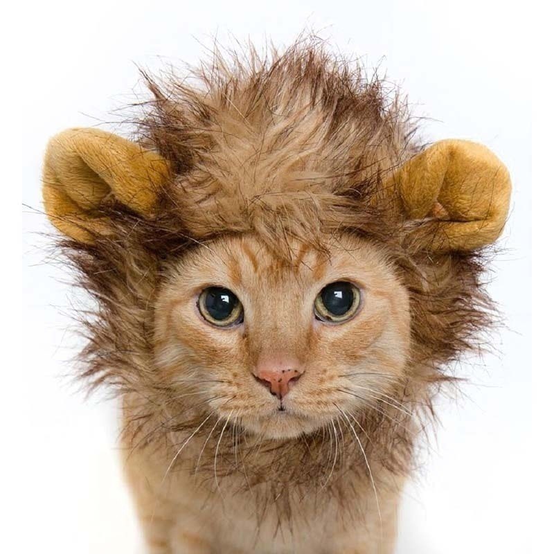 Topi Kucing Singa Cap Rambut Topi Wig Desain Singa Dengan Telinga Untuk Kostum Kucing Dan Anjing Peliharaan