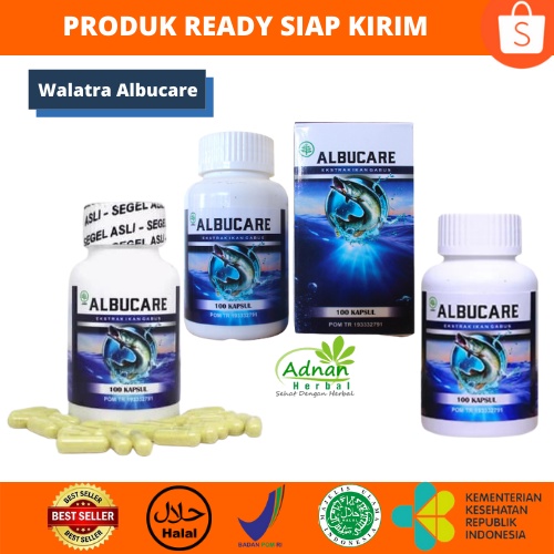 Walatra Albucare Ekstrak Ikan Gabus - Obat Herbal Ikan Gabus 100% Alami
