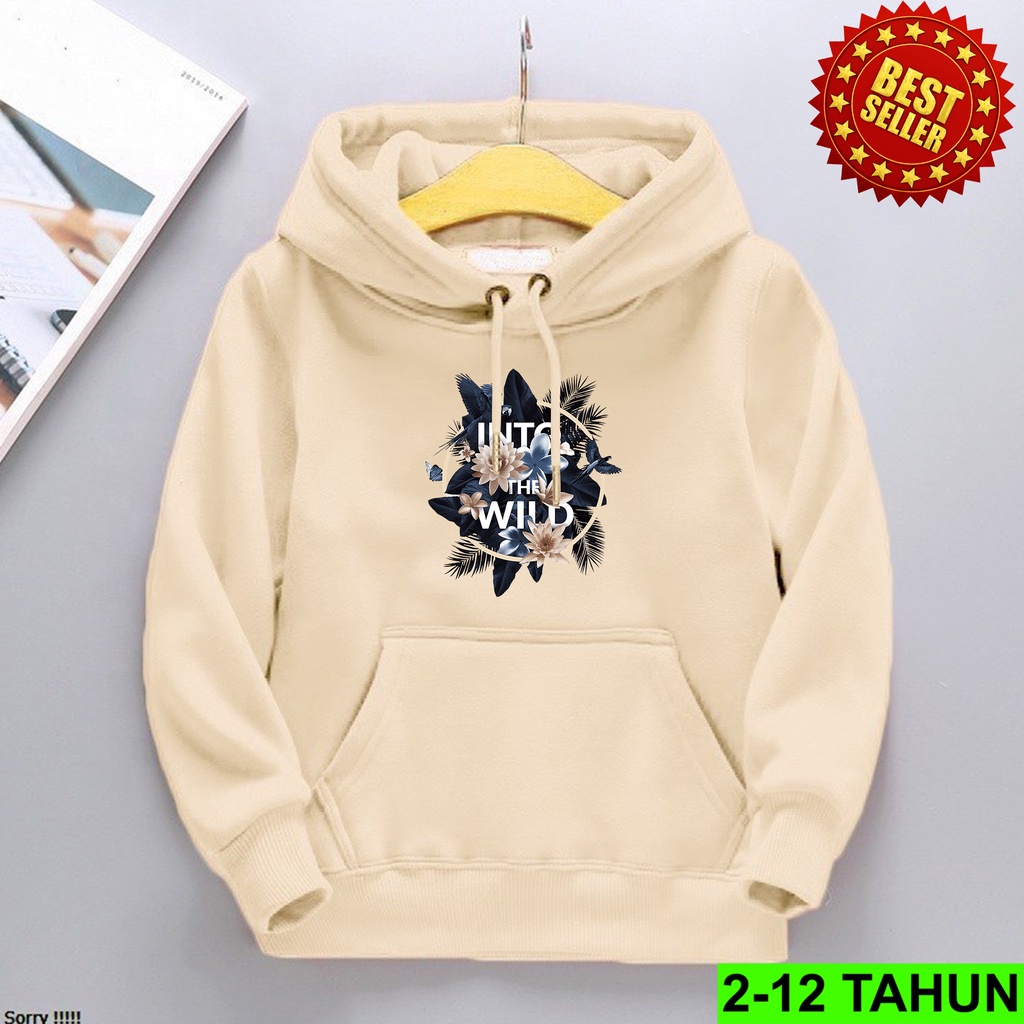 Hoodie Anak Laki Laki Perempuan / Hodie Anak Usia 2 3 4 5 6 7 8 9 10 11 12 Tahun / Jaket Anak Cewek Cowok Sweater Anak