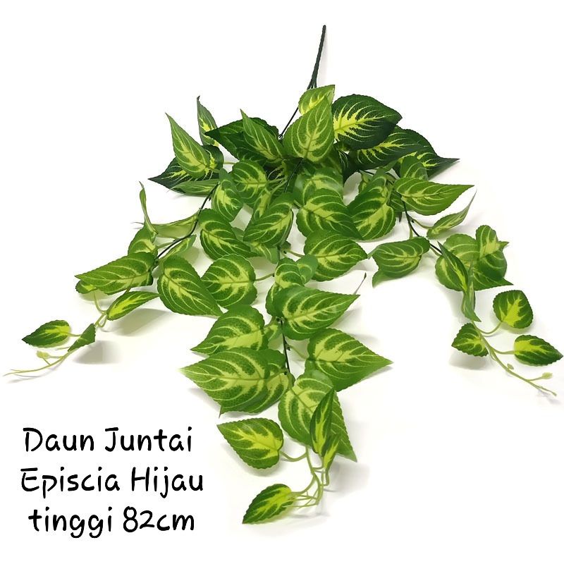 Daun Juntai Rimbun / Daun plastik merambat (Tanpa Pot)