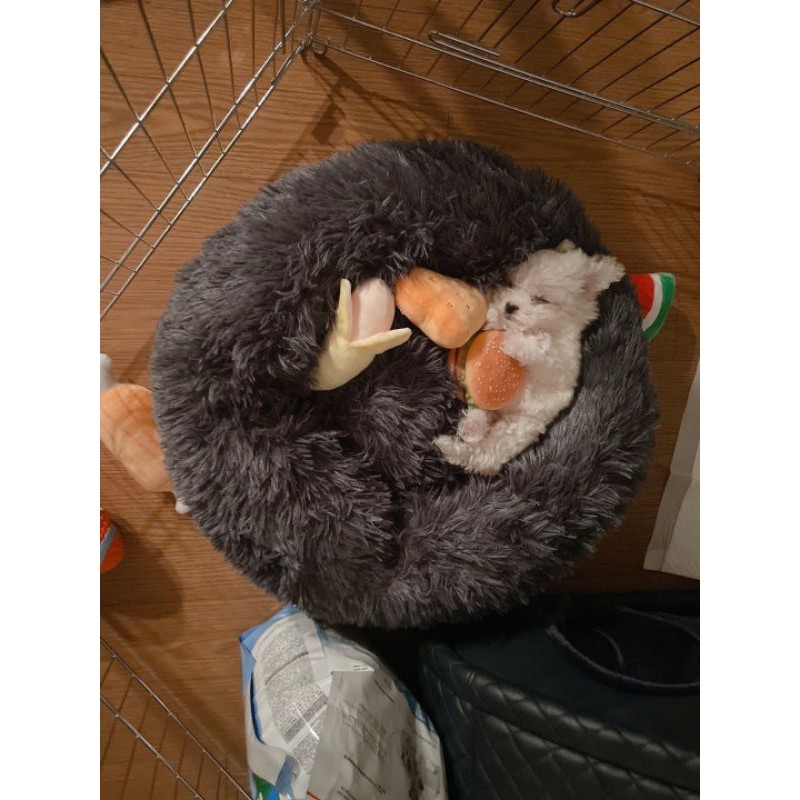 Photocard Sticker Jaehyun Punch [Booked]