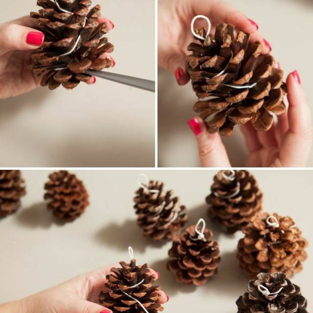  Biji Pinus  Pine cones Hiasan pohon natal Shopee 