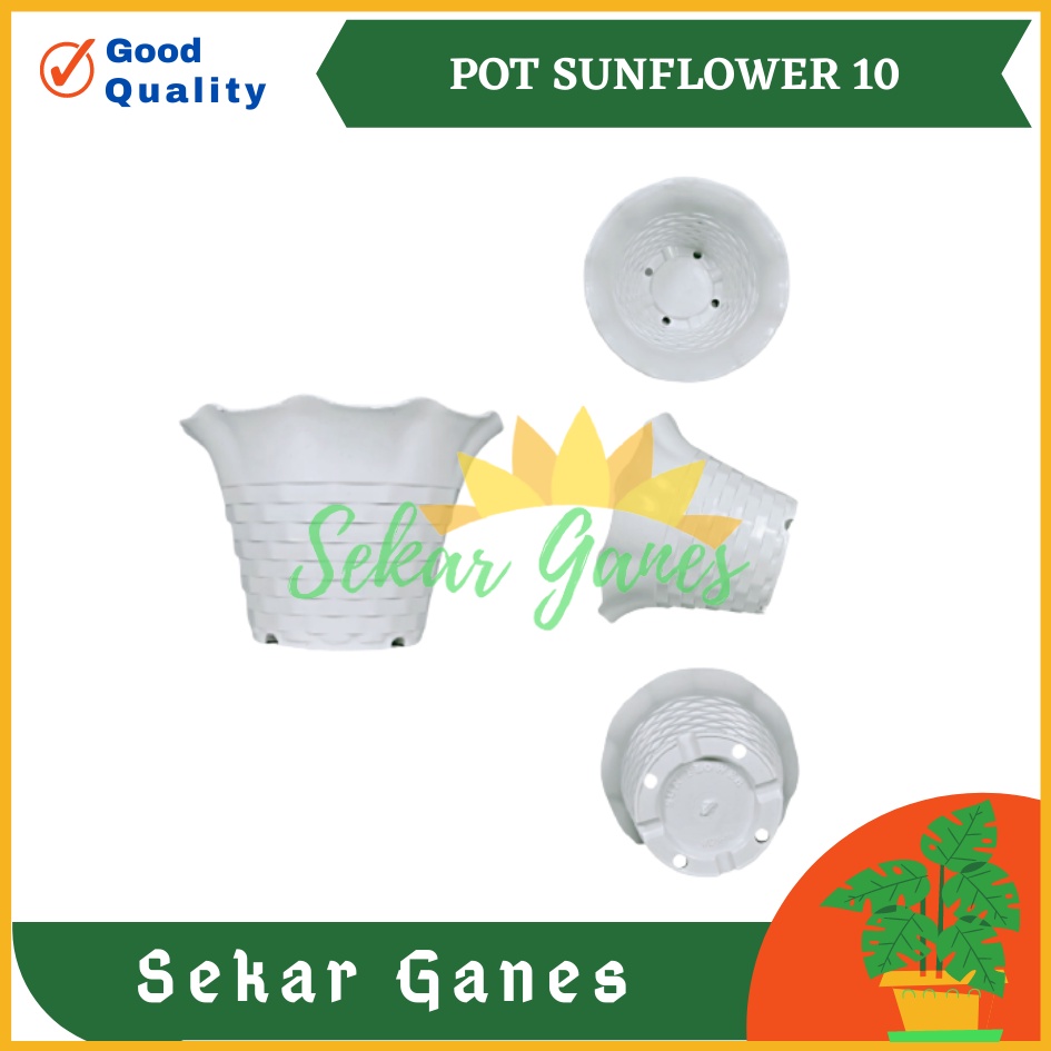 POT SUN FLOWER MDN 10 CM MOTIF BATA POT BUNGA SUNFLOWER WARNA WARNI - pot kaktus mini lucu