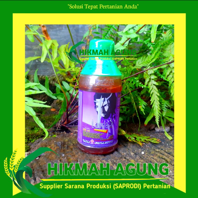 

Insektisida dimehipo buat sundep LANDEP 200ml dari Belka