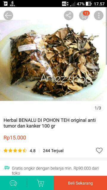 Herbal Benalu Di Pohon Teh Original Anti Tumor Dan Kanker 100 Gr