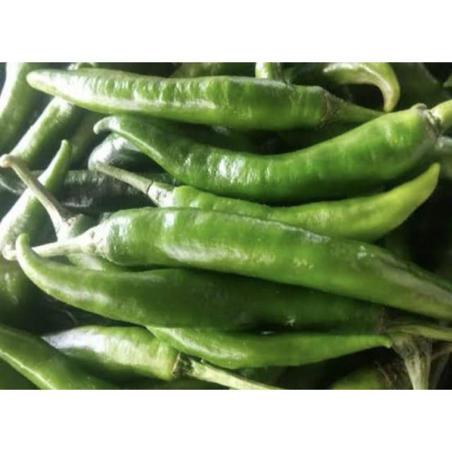 

CABE HIJAU BESAR SEGAR