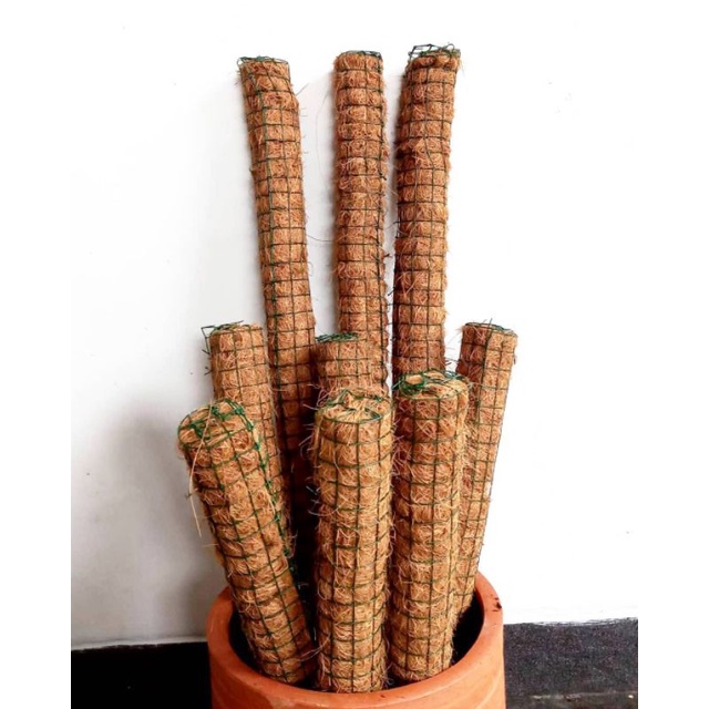 Turus penyangga tanaman | Turus tanaman | turus 30 cm