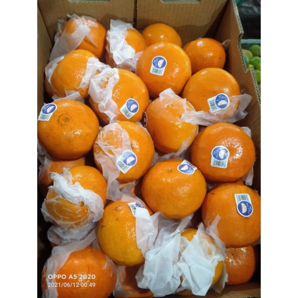 

buah jeruk murcot|500gram|honey murcot|buah segar bandung|nuri fruits|jeruk manis