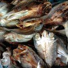 

ikan asin gulama belah
